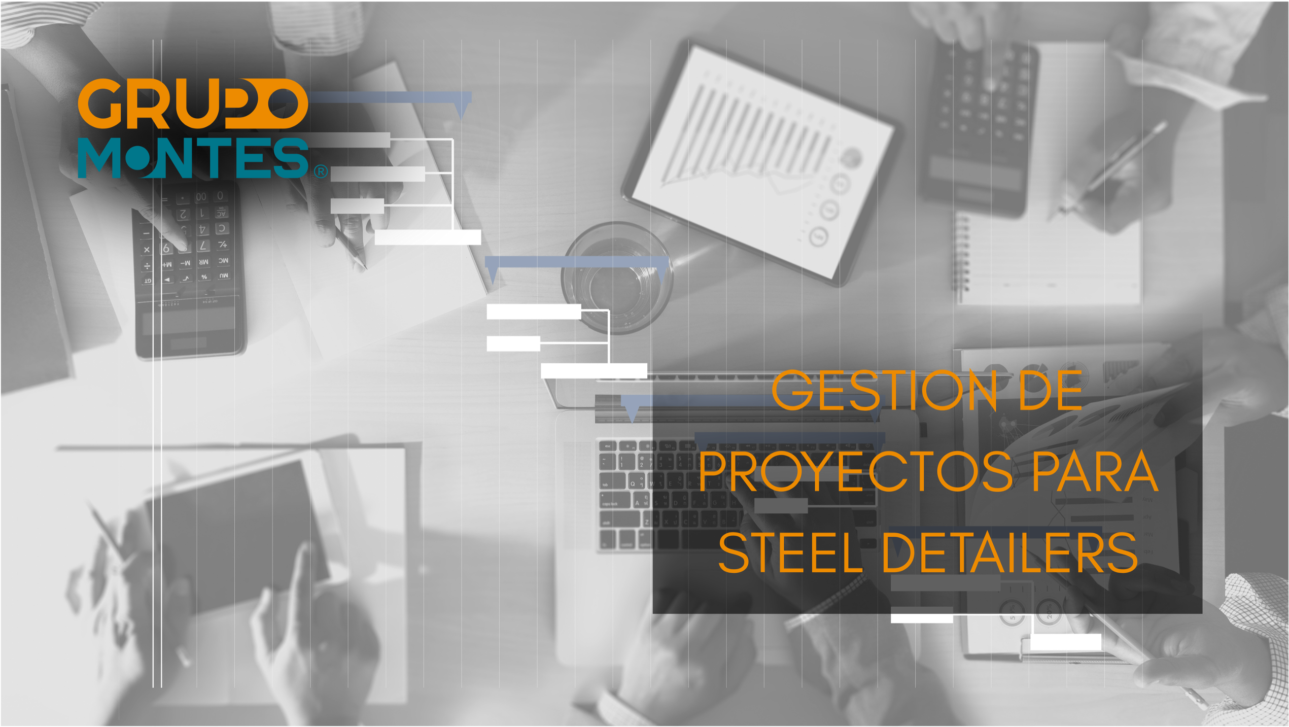 Protegido: Gestión de Proyectos para STEEL DETAILERS